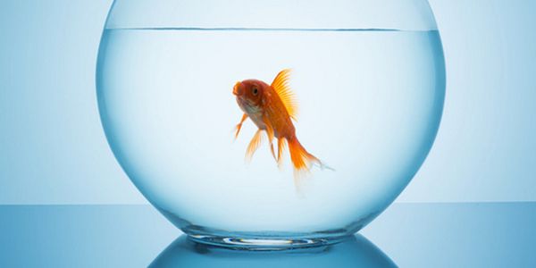 变速箱油市场规模.jpg 变速箱油品牌注定做不大,原因和出路都在这里